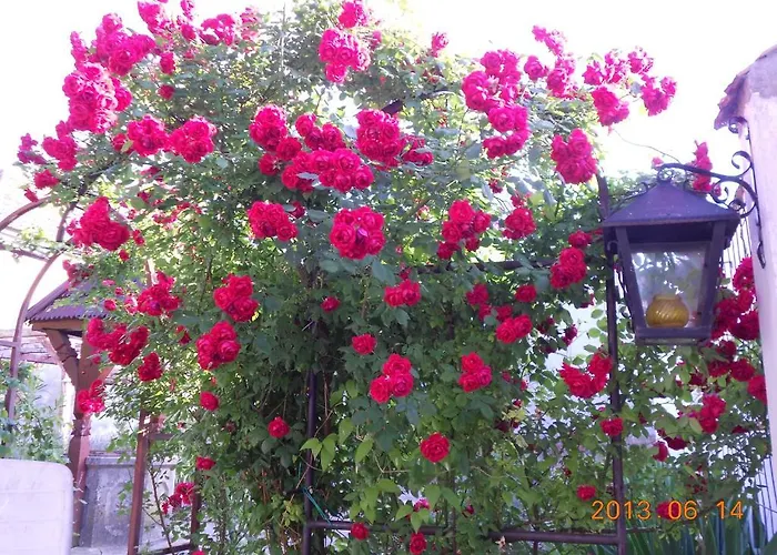 Hanytunder Vendeghaz Apartament *